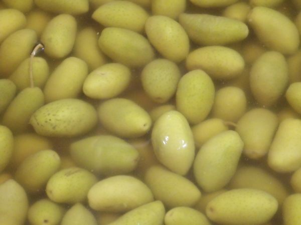 olives vertes de Lucques 100g