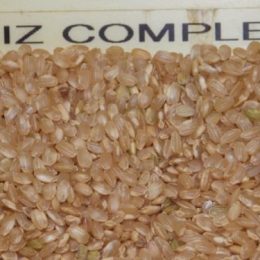 riz complet 250g