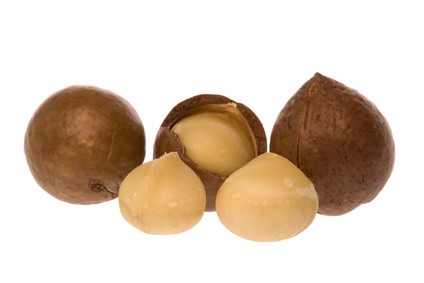 noix de macadamia 100g